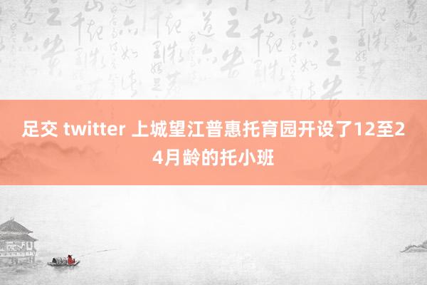 足交 twitter 上城望江普惠托育园开设了12至24月龄的托小班