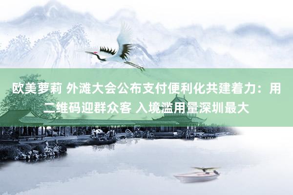欧美萝莉 外滩大会公布支付便利化共建着力:用二维码迎群众客 入境滥用量深圳最大