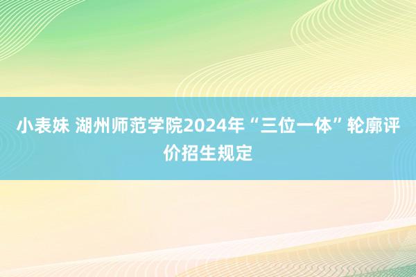 小表妹 湖州师范学院2024年“三位一体”轮廓评价招生规定