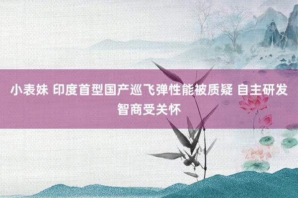 小表妹 印度首型国产巡飞弹性能被质疑 自主研发智商受关怀
