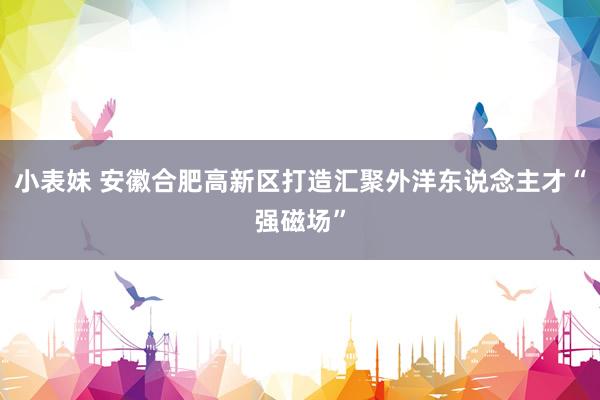 小表妹 安徽合肥高新区打造汇聚外洋东说念主才“强磁场”