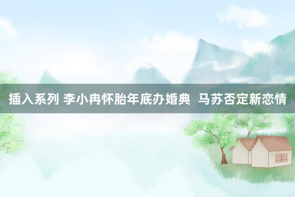 插入系列 李小冉怀胎年底办婚典 马苏否定新恋情