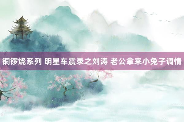 铜锣烧系列 明星车震录之刘涛 老公拿来小兔子调情
