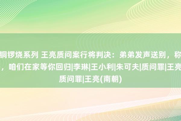 铜锣烧系列 王亮质问案行将判决:弟弟发声送别,称:哥哥,咱们在家等你回归|李琳|王小利|朱可夫|质问罪|王亮(南朝)