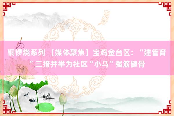 铜锣烧系列 【媒体聚焦】宝鸡金台区:“建管育”三措并举为社区“小马”强筋健骨