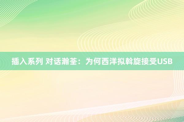 插入系列 对话瀚荃：为何西洋拟斡旋接受USB