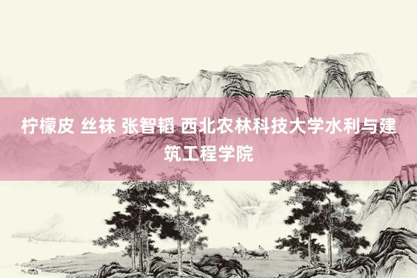柠檬皮 丝袜 张智韬 西北农林科技大学水利与建筑工程学院