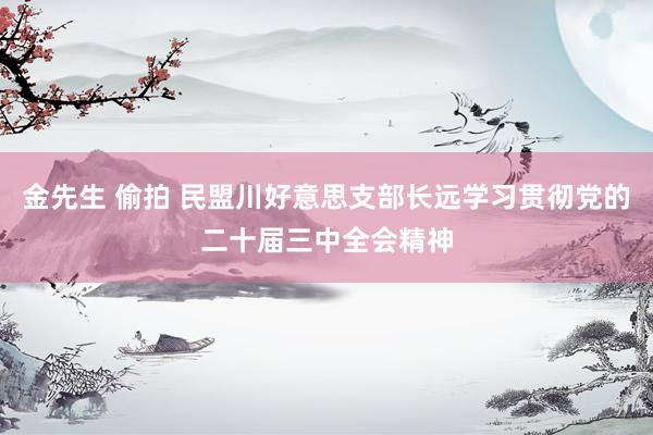 金先生 偷拍 民盟川好意思支部长远学习贯彻党的二十届三中全会精神