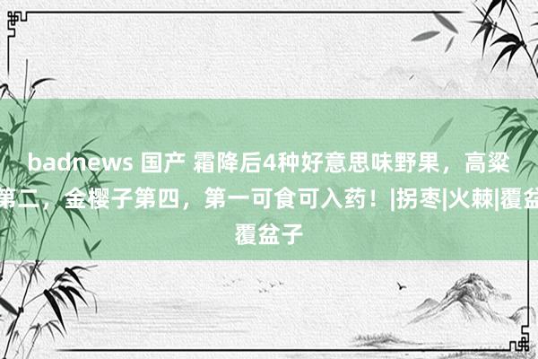 badnews 国产 霜降后4种好意思味野果,高粱泡第二,金樱子第四,第一可食可入药!|拐枣|火棘|覆盆子