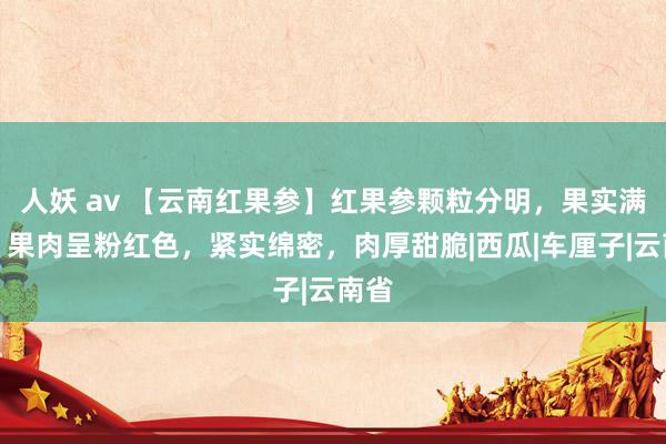 人妖 av 【云南红果参】红果参颗粒分明,果实满盈,果肉呈粉红色,紧实绵密,肉厚甜脆|西瓜|车厘子|云南省