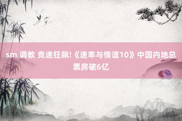 sm 调教 竞速狂飙!《速率与情谊10》中国内地总票房破6亿