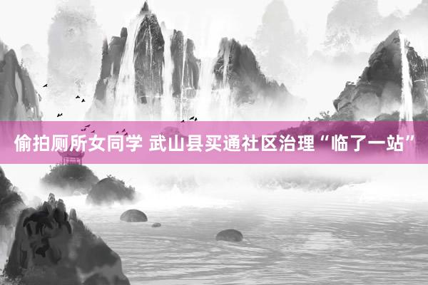 偷拍厕所女同学 武山县买通社区治理“临了一站”