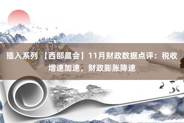 插入系列 【西部晨会】11月财政数据点评:税收增速加速,财政膨胀降速