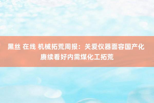 黑丝 在线 机械拓荒周报：关爱仪器面容国产化 赓续看好内需煤化工拓荒
