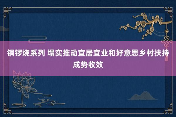 铜锣烧系列 塌实推动宜居宜业和好意思乡村扶持成势收效