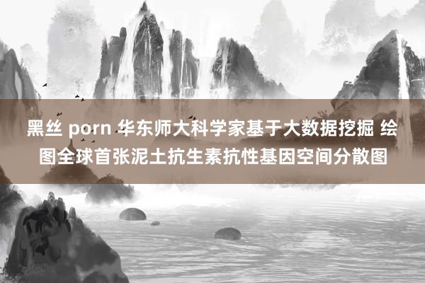 黑丝 porn 华东师大科学家基于大数据挖掘 绘图全球首张泥土抗生素抗性基因空间分散图