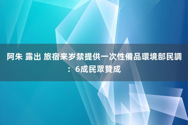 阿朱 露出 旅宿来岁禁提供一次性備品 環境部民調:6成民眾贊成