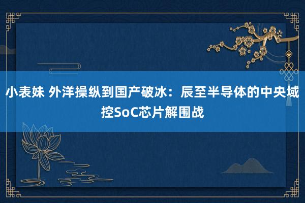小表妹 外洋操纵到国产破冰：辰至半导体的中央域控SoC芯片解围战