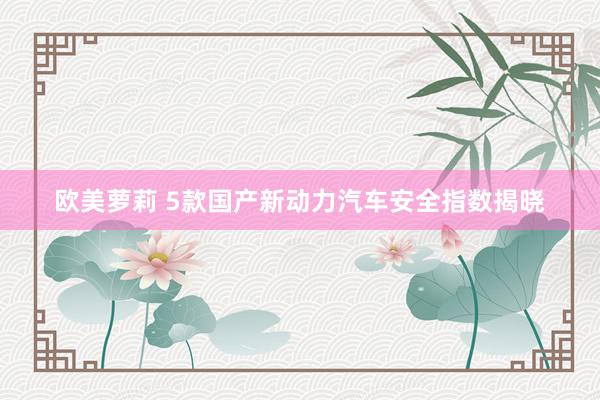 欧美萝莉 5款国产新动力汽车安全指数揭晓