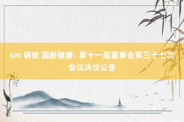 sm 调教 国新健康: 第十一届董事会第三十七次会议决议公告