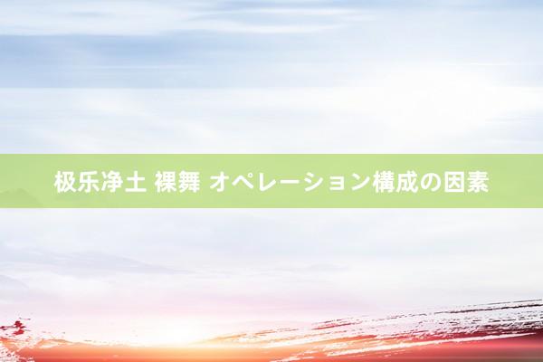 极乐净土 裸舞 オペレーション構成の因素