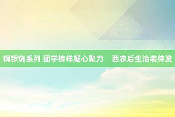 铜锣烧系列 团学榜样凝心聚力    西农后生治装待发