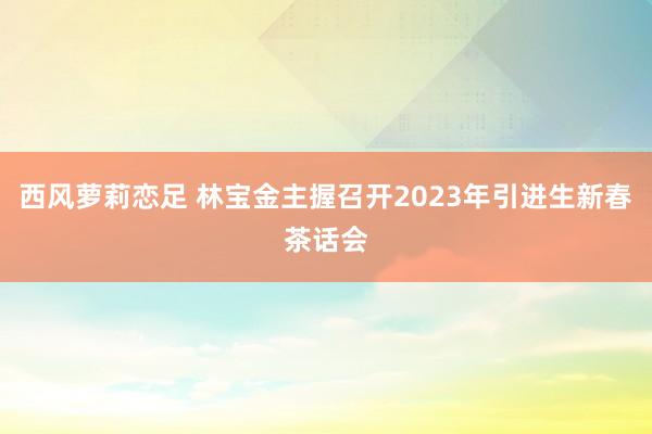 西风萝莉恋足 林宝金主握召开2023年引进生新春茶话会