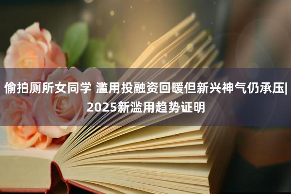 偷拍厕所女同学 滥用投融资回暖但新兴神气仍承压|2025新滥用趋势证明